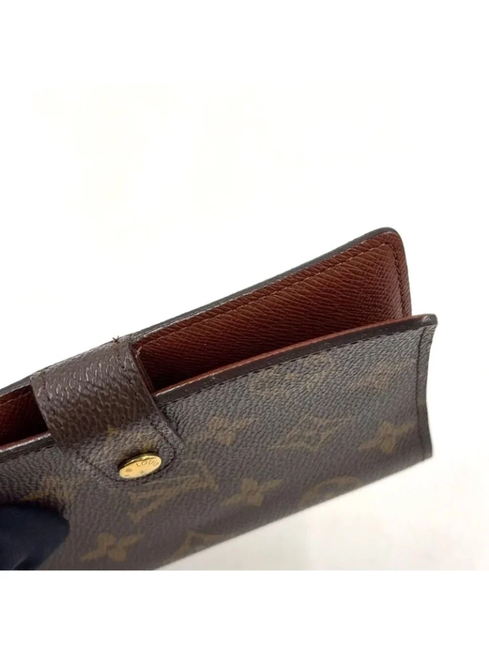 Louis Vuitton brand louis